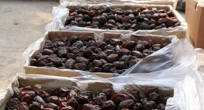 پایانه صادراتی خرما در عنبرآباد احداث می‌شود